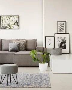 Living Room 12